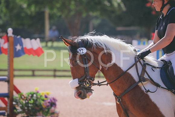 RWP_4720