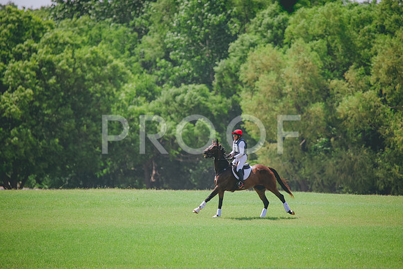 RWP_4618