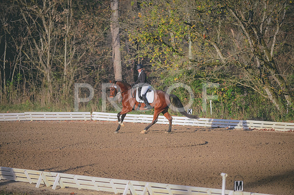 JJS_2462