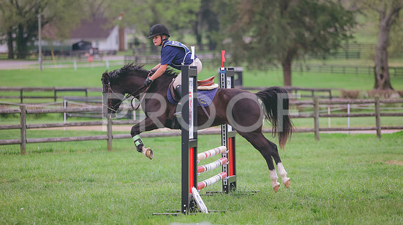 0N0A8774