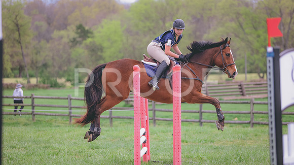 0N0A8231