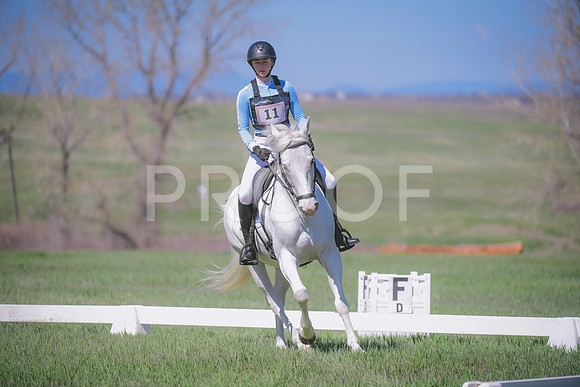 _DSC0995