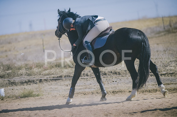 JJS_6323
