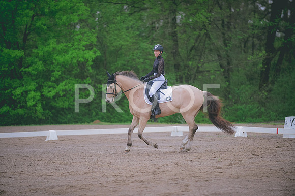 JJS_5292
