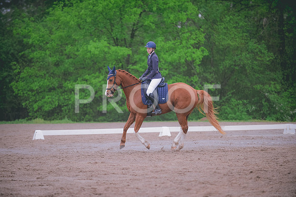 JJS_7551
