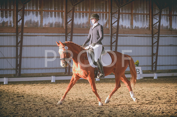 JJS_0653