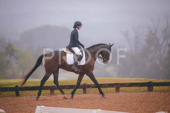 RWP_0718