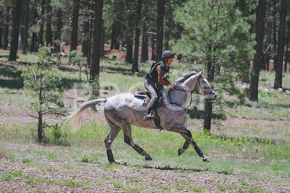 DSC_0226