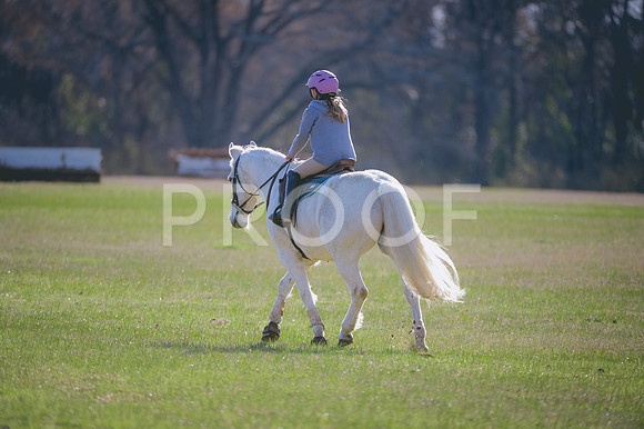 JJS_2462