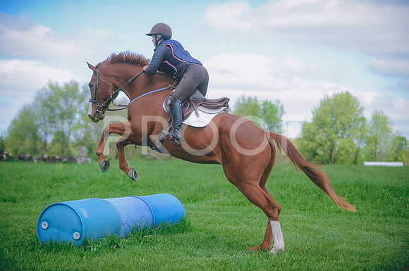 000_2254
