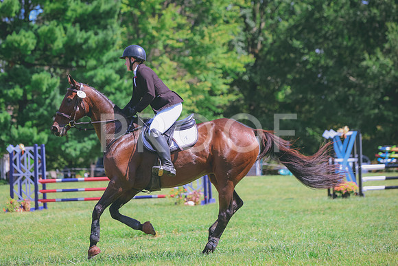 BH246904