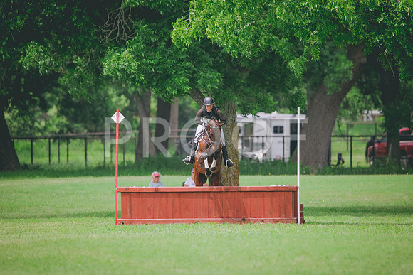 RWP_2035