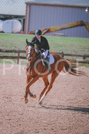 JJS_7048