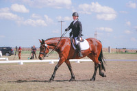CDH_9031
