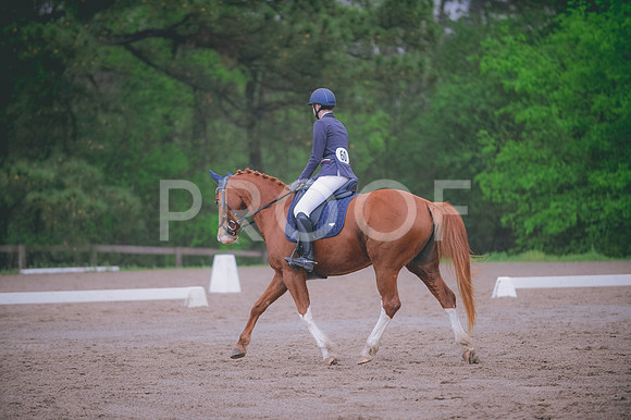 JJS_7620