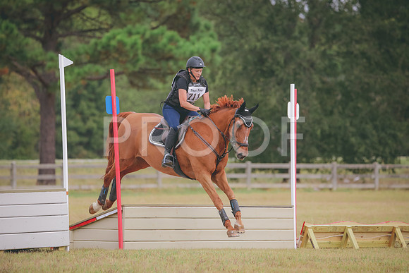 RWP_3816