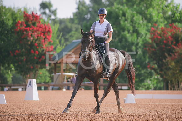 RWP_4229