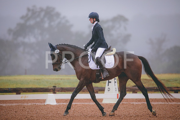 RWP_0729