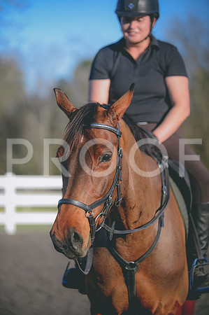 JJS_0981