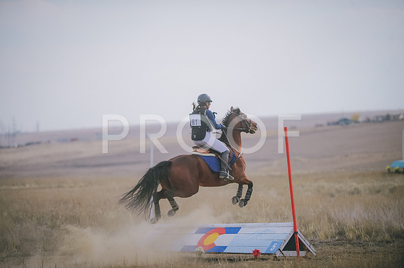 JJS_3456