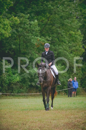 JJS_0781A