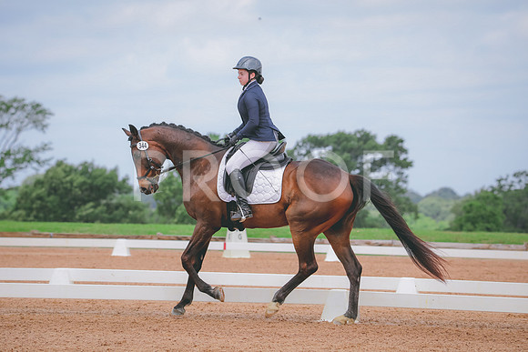 RWP_4223