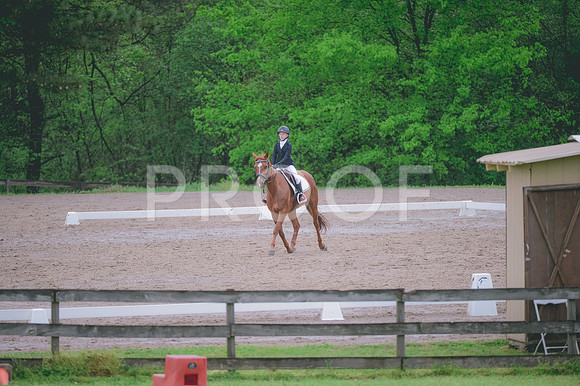 JJS_3168