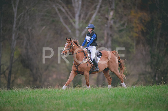 JJS_0260