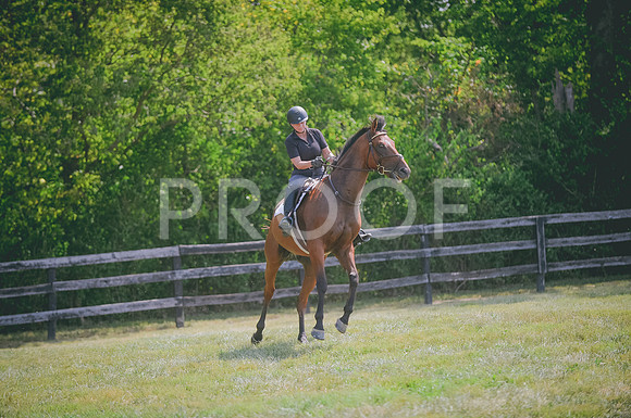 JJS_0822