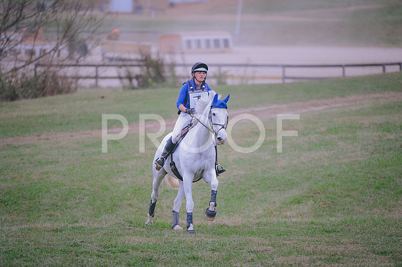 JJS_8547
