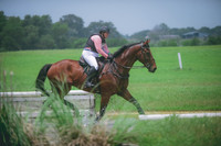 000_2019