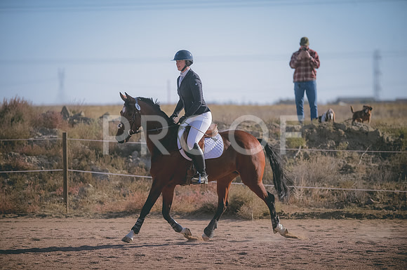 JJS_0074