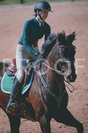 JJS_3928