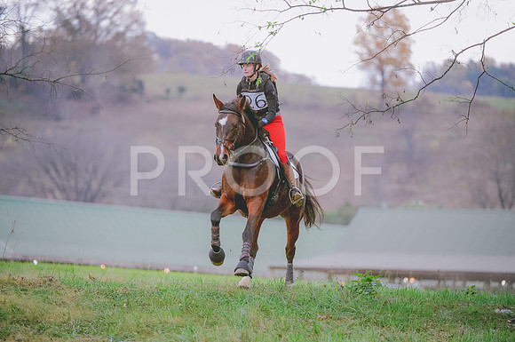 JJS_0331
