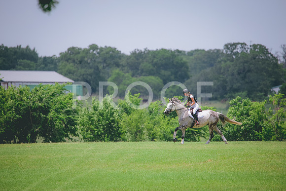 RWP_3373