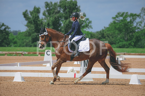 RWP_4428