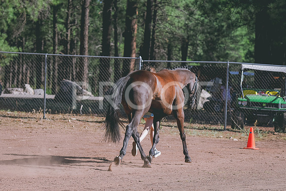 DSC_2505
