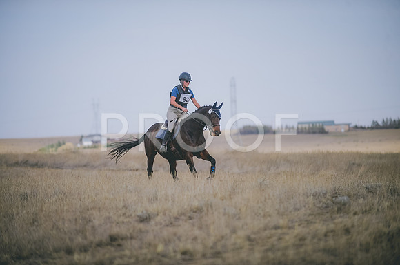 JJS_3618