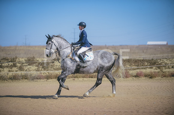 JJS_4078