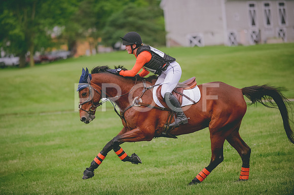 JJS_0541
