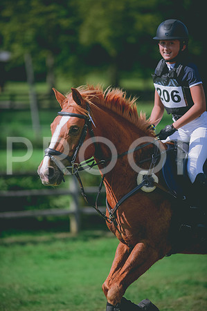 JJS_9368