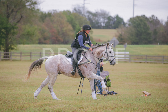 RWP_3613