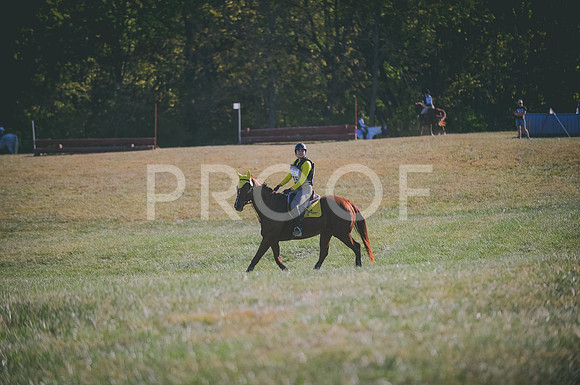 JJS_0062