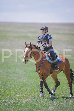 _DSC8993