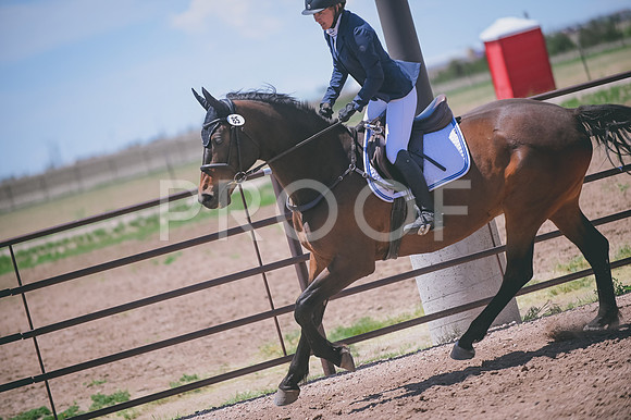 DSC_8008