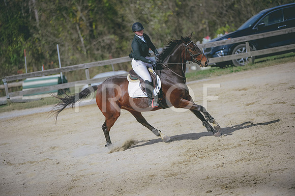 JJS_2201