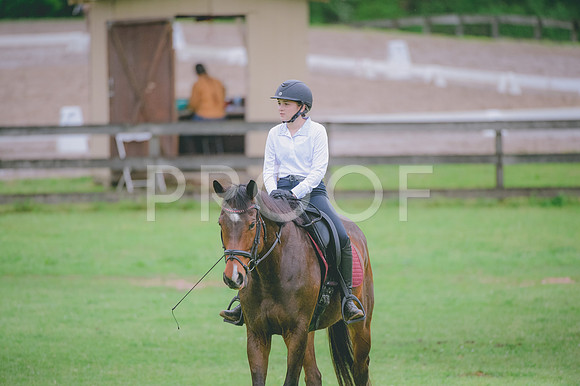 JJS_2893