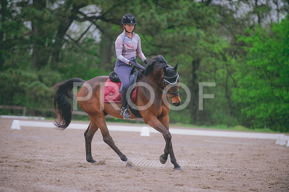 JJS_4557