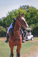 4HLJ8017