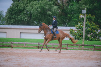 000_3176 copy